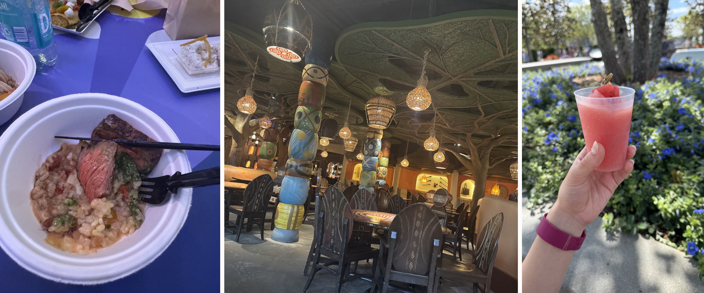 The steak bowl from Communicore Hall, the dining room at Sanaa, and a cucumber watermelon slushy from Epcot