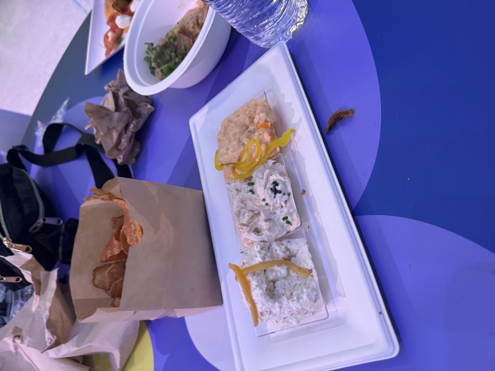 Tax Day at Epcot: Flower and Garden Snacks, Guardians, and a Buffalo Pizza Surprise, Part 1, photo 2
