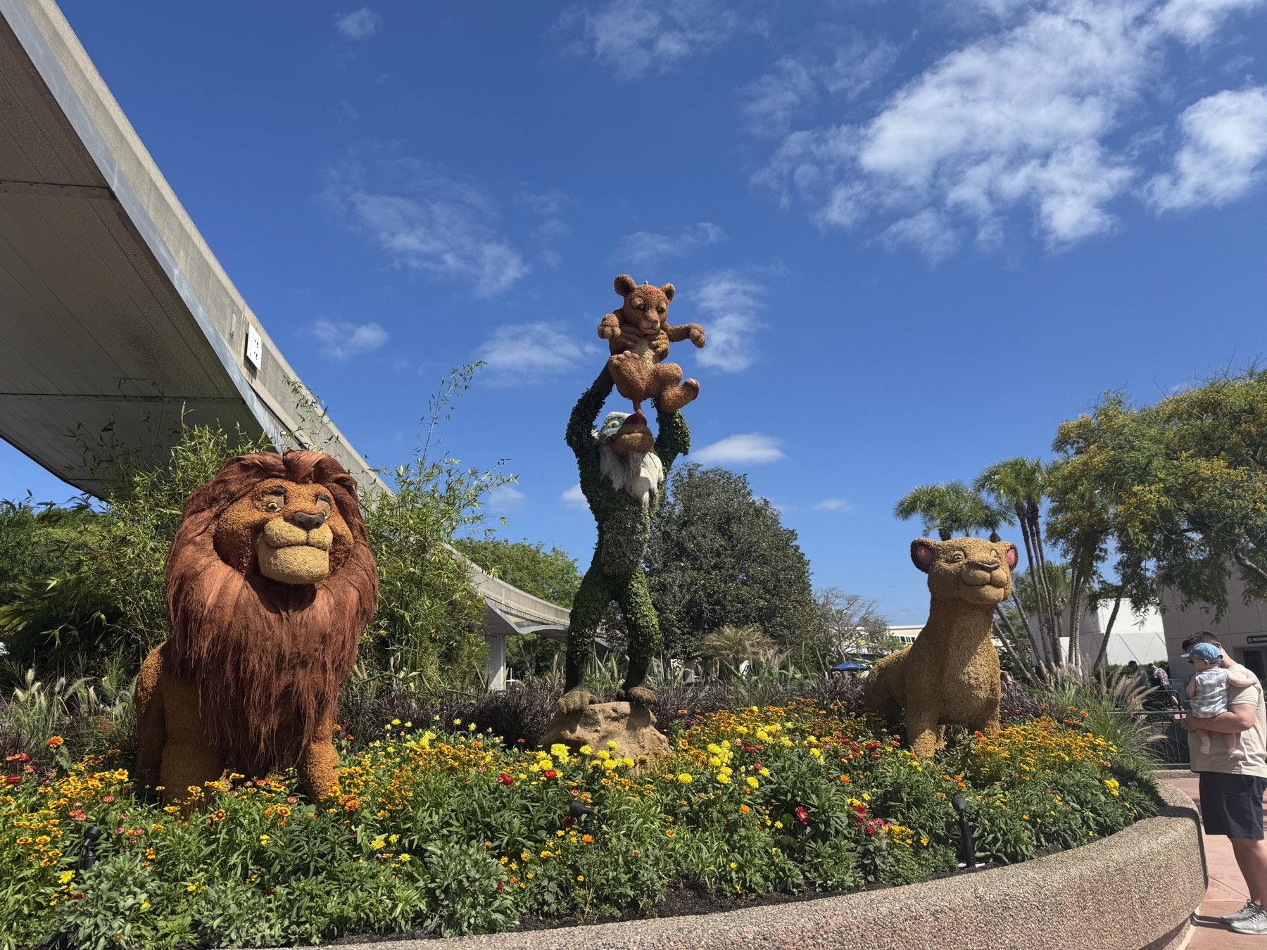 Lion King topiaries at Walt Disney World