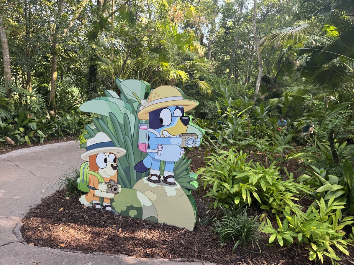 Bluey and Bingo safari cutouts along the walkway to Blueys Backyard Bash
